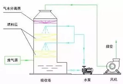 17.webp.jpg 17.webp.jpg